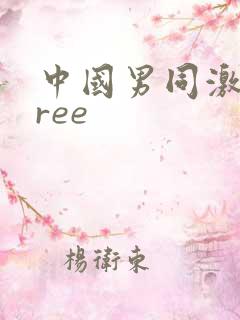 中国男同激情free