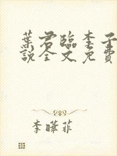 叶君临李子染小说全文免费全集