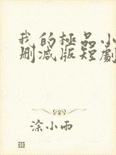 我的极品小姨未删减版短剧