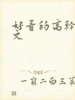 好看的高干言情文