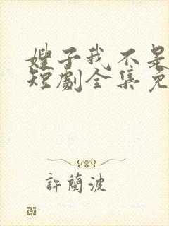 嫂子我不是傻子短剧全集免费观看高清