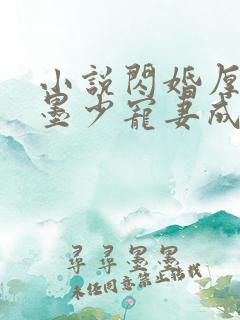 小说闪婚厚爱:墨少宠妻成瘾