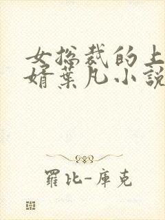 女总裁的上门女婿叶凡小说