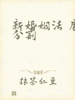 新婚姻法 房产分割