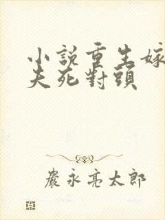 小说重生嫁给前夫死对头