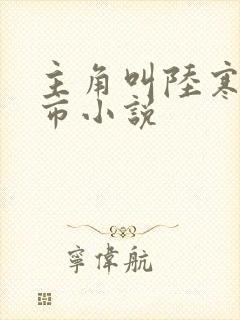 主角叫陆寒的都市小说