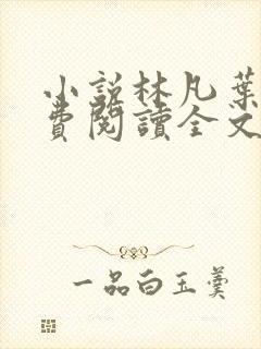 小说林凡叶惜免费阅读全文最新章节