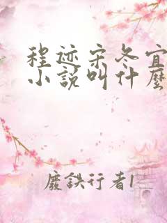 程迹宋冬宜原著小说叫什么名字