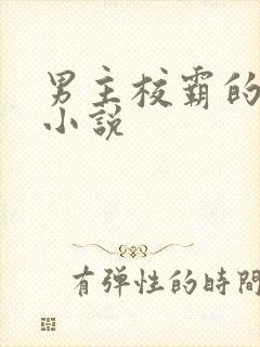 男主校霸的校园小说