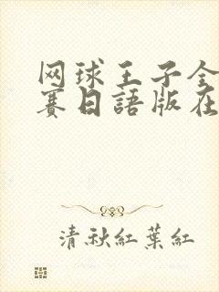 网球王子全国大赛日语版在线观看