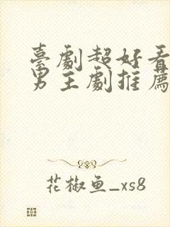 台剧超好看的双男主剧推荐