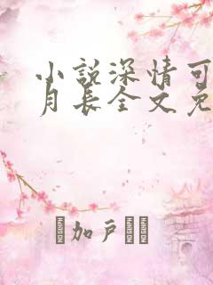 小说深情可抵岁月长全文免费阅读