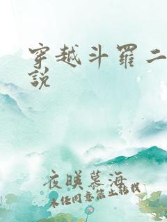 穿越斗罗二的小说