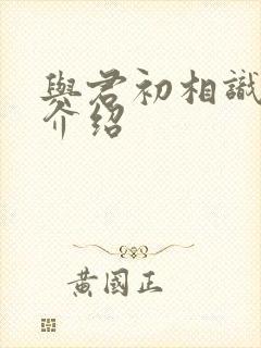 与君初相识剧情介绍