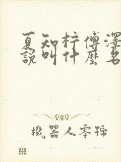 夏知柠傅泽野小说叫什么名字