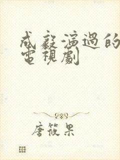 成毅演过的全部电视剧