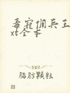 毒宠佣兵王妃txt全本