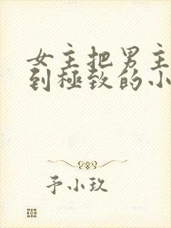 女主把男主囚禁到极致的小说