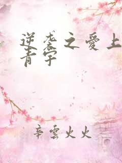 逆袭之爱上情敌青宇