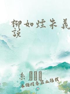 柳如烟朱义廷小说