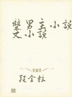 双男主小说高干文小说