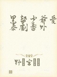 黑帮少爷爱上我泰剧番外