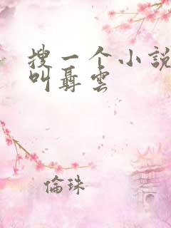 搜一个小说主角叫聂云