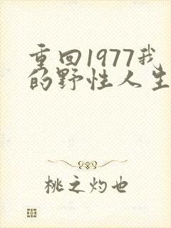 重回1977我的野性人生短剧免费观看