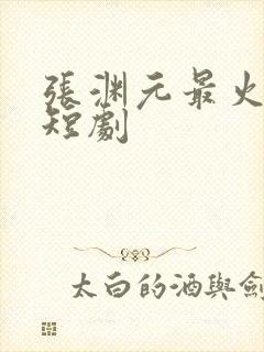 张渊元最火十部短剧