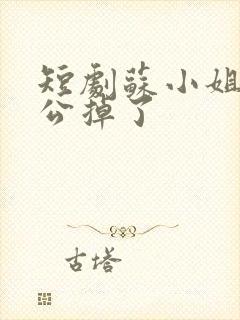 短剧苏小姐你老公掉了