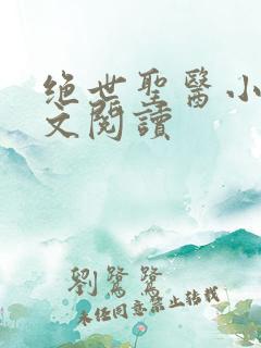 绝世圣医小说全文阅读