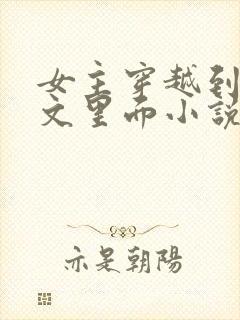 女主穿越到末世文里面小说