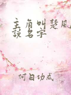 主角叫楚风的小说名字