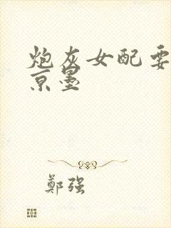 炮灰女配要逆袭京墨