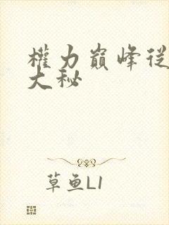 权力巅峰从领导大秘