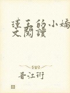 瑾王的小娇夫全文阅读