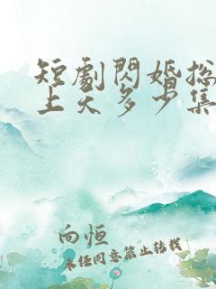 短剧闪婚总裁宠上天多少集