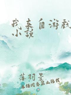 我来自游戏原著小说