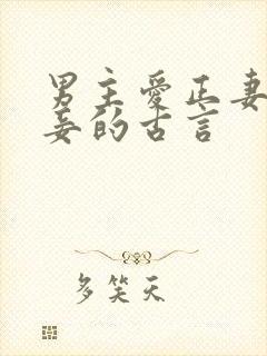 男主爱正妻却纳妾的古言