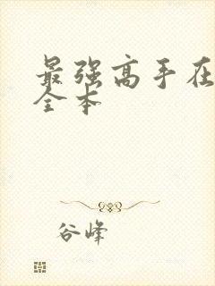 最强高手在都市全本