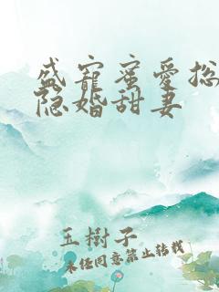 盛宠蜜爱总裁的隐婚甜妻