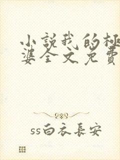 小说我的极品老婆全文免费阅读