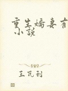 重生娇妻有点甜 小说