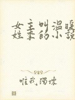 女主叫温暖男主姓季的小说