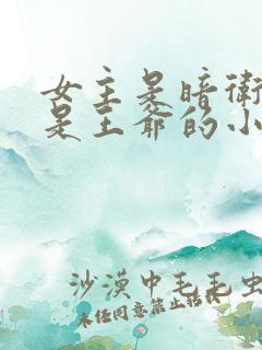 女主是暗卫男主是王爷的小说