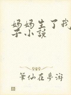 妈妈生了我的孩子小说