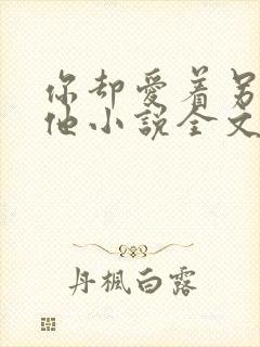 你却爱着另一个他小说全文免费阅读