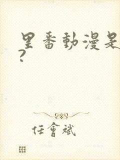 里番动漫是什么?