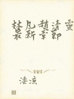 林凡赵清灵小说最新章节