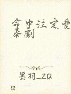 命中注定爱上我泰剧